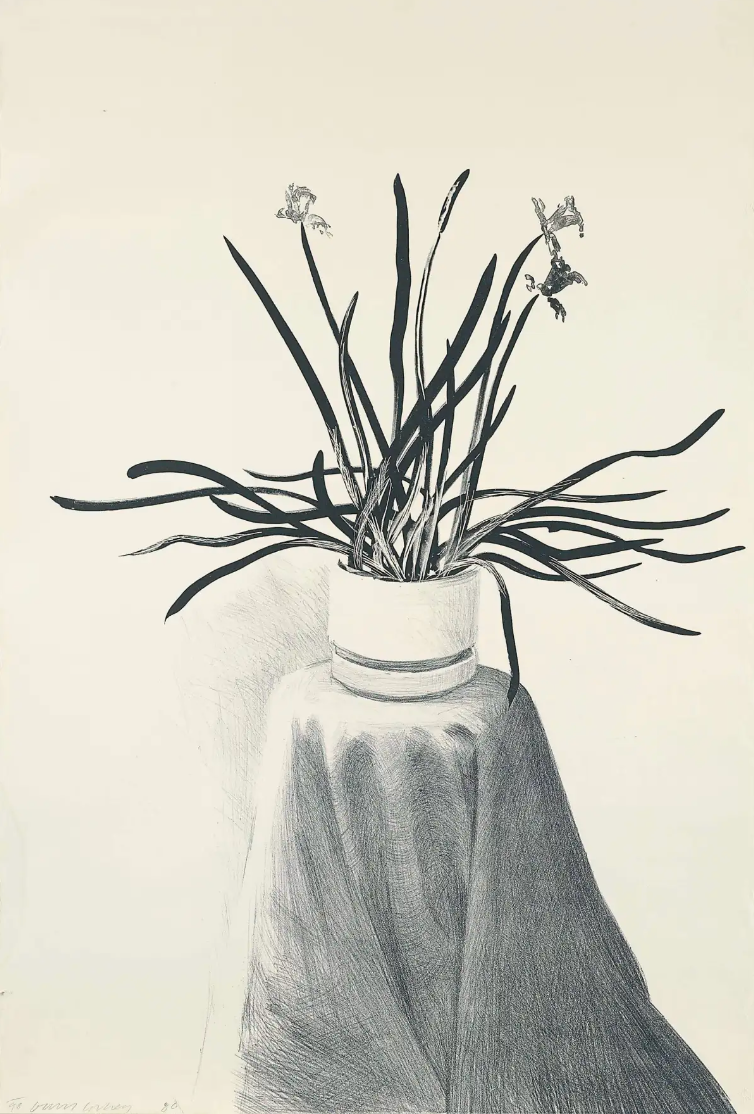 David Hockney,Potted Daffodils